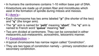 Chromosome & Giant Chromosome (Girja Pd. Patel) | PPTX