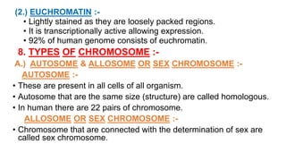 Chromosome & Giant Chromosome (Girja Pd. Patel) | PPTX