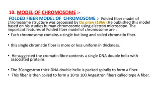 Chromosome & Giant Chromosome (Girja Pd. Patel) | PPTX