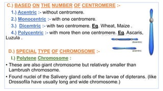 Chromosome (girja pd. patel) | PPTX