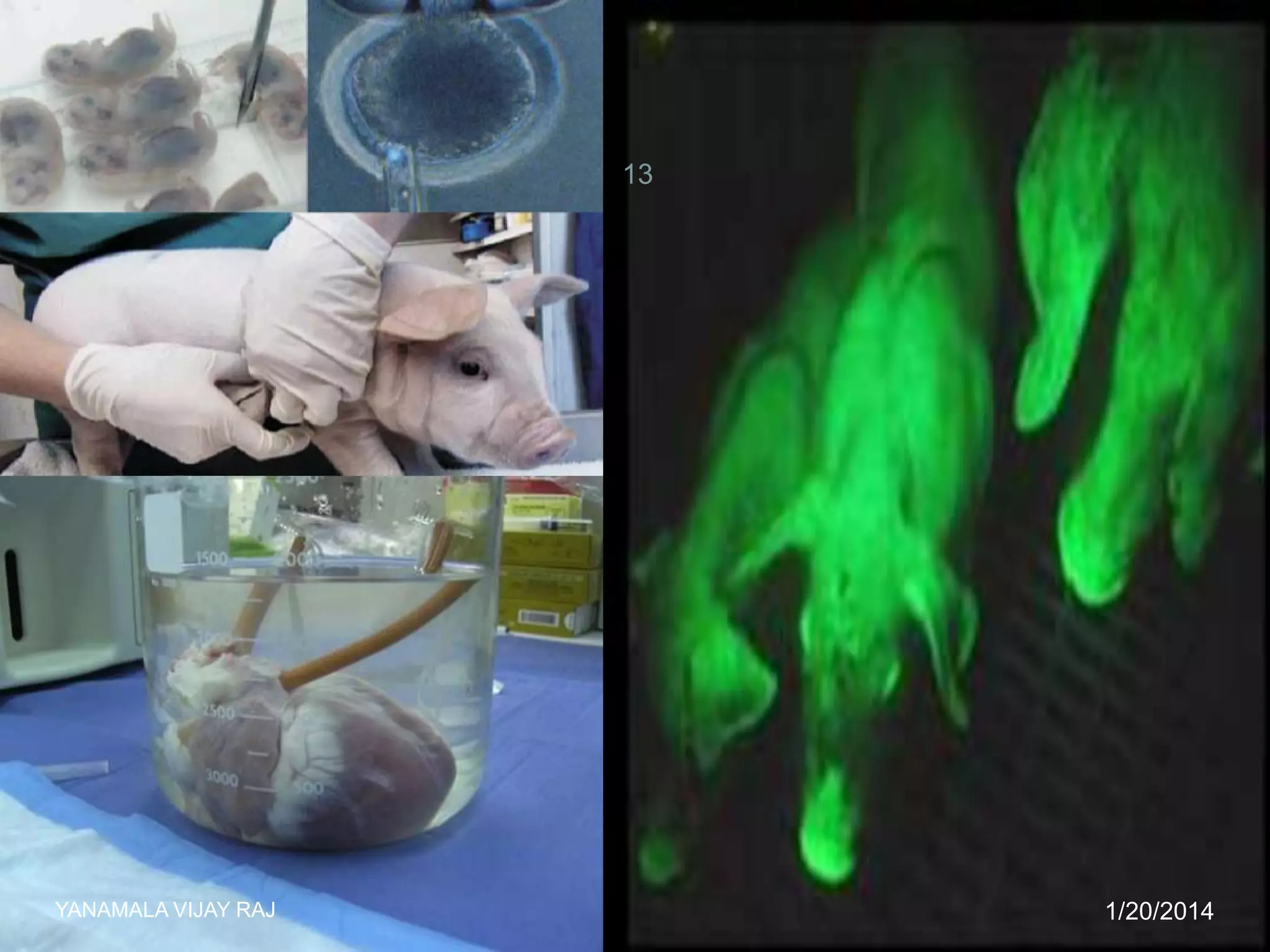 13

YANAMALA VIJAY RAJ

1/20/2014

 