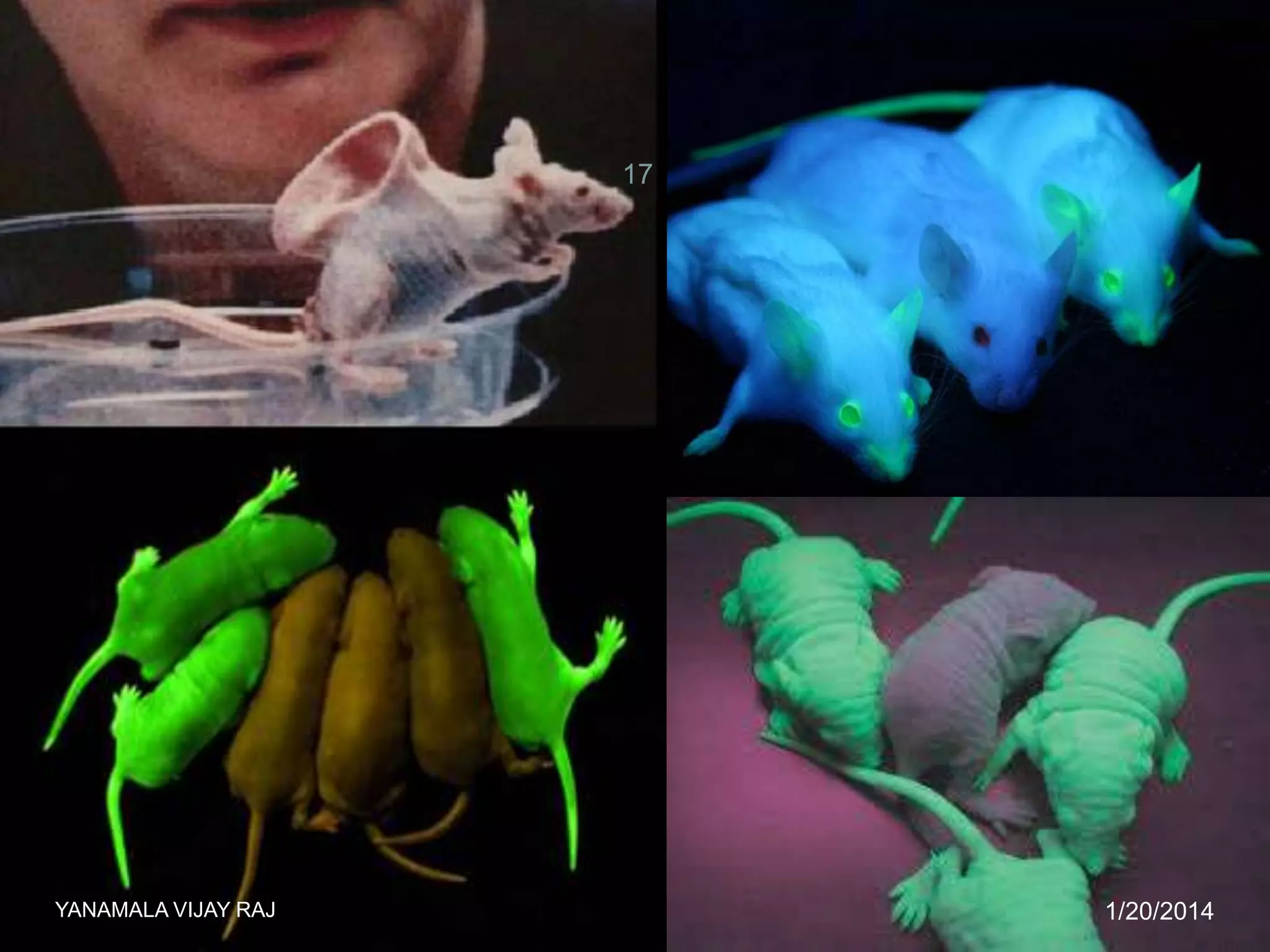 17

YANAMALA VIJAY RAJ

1/20/2014

 