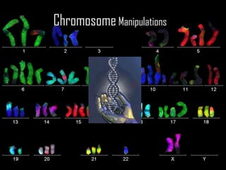 Chromosome Manipulations

ANIMAL BIOTECHNOLOGY

 