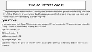 Two Point Test Cross Example CHROMOSOME MAPPING PRESENTATION OUAT PBG | PPTX
