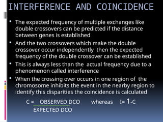 INTERFERENCE AND COINCIDENCE
 The expected frequency of multiple exchanges like
double crossovers can be predicted if the distance
between genes is established
 And the two crossovers which make the double
crossover occur independently then the expected
frequency of the double crossover can be established
 This is always less than the actual frequency due to a
phenomenon called interference
 When the crossing over occurs in one region of the
chromosome inhibits the event in the nearby region to
identify this disparities the coincidence is calculated
C = OBSERVED DCO whereas I= 1-C
EXPECTED DCO
 