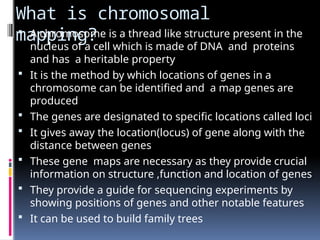 What is chromosomal
mapping?
 A chromosome is a thread like structure present in the
nucleus of a cell which is made of DNA and proteins
and has a heritable property
 It is the method by which locations of genes in a
chromosome can be identified and a map genes are
produced
 The genes are designated to specific locations called loci
 It gives away the location(locus) of gene along with the
distance between genes
 These gene maps are necessary as they provide crucial
information on structure ,function and location of genes
 They provide a guide for sequencing experiments by
showing positions of genes and other notable features
 It can be used to build family trees
 