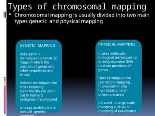 Types of chromosomal mapping
 Chromosomal mapping is usually divided into two main
types genetic and physical mapping
GENETIC MAPPING
Uses genetic
techniques to construct
maps in which the
position of genes and
other sequences are
shown
Genetic techniques like
cross breeding
experiments are used
but in humans
pedigrees are analyzed
Linkage analysis is the
basis of genetic
PHYSICAL MAPPING
It uses molecular
biological techniques to
directly examine DNA
to show positions of
genes
Here techniques like
restriction mapping ,
fluorescent in situ
hybridization and
others are used
It's used in large scale
mapping such as in
mapping of eukaryotes
 