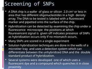 Screening of SNPs
 A DNA chip is a wafer of glass or silicon 2.0 cm2
or less in
area that has different oligonucleotides in a high density
array. The DNA to be tested is labeled with a fluorescent
marker and pipetted onto the surface of the chip.
 Hybridization can be detected by examining the chip under a
fluorescence microscope the positions at which
flouresencent signal is given off indicates presence of SNPs
as hybridization occurs only if no mismatch occurs.
 Many SNPs are scored in a single experiment
 Solution hybridization techniques are done in the wells of a
microtiter tray and uses a detection system which can
differentiate between the unhybridized DNA and the double
standard product of hybridization.
 Several systems were developed one of which uses a
fluorescent dye and a compound which quenches it in close
proximity
 
