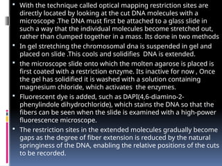  With the technique called optical mapping restriction sites are
directly located by looking at the cut DNA molecules with a
microscope .The DNA must first be attached to a glass slide in
such a way that the individual molecules become stretched out,
rather than clumped together in a mass. Its done in two methods
 In gel stretching the chromosomal dna is suspended in gel and
placed on slide .This cools and solidifies DNA is extended.
 the microscope slide onto which the molten agarose is placed is
first coated with a restriction enzyme. Its inactive for now , Once
the gel has solidified it is washed with a solution containing
magnesium chloride, which activates the enzymes.
 Fluorescent dye is added, such as DAPI(4,6-diamino-2-
phenylindole dihydrochloride), which stains the DNA so that the
fibers can be seen when the slide is examined with a high-power
fluorescence microscope.
 The restriction sites in the extended molecules gradually become
gaps as the degree of fiber extension is reduced by the natural
springiness of the DNA, enabling the relative positions of the cuts
to be recorded.
 