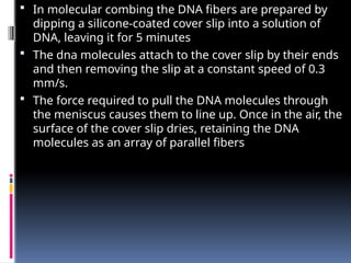  In molecular combing the DNA fibers are prepared by
dipping a silicone-coated cover slip into a solution of
DNA, leaving it for 5 minutes
 The dna molecules attach to the cover slip by their ends
and then removing the slip at a constant speed of 0.3
mm/s.
 The force required to pull the DNA molecules through
the meniscus causes them to line up. Once in the air, the
surface of the cover slip dries, retaining the DNA
molecules as an array of parallel fibers
 