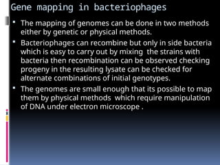 Gene mapping in bacteriophages
 The mapping of genomes can be done in two methods
either by genetic or physical methods.
 Bacteriophages can recombine but only in side bacteria
which is easy to carry out by mixing the strains with
bacteria then recombination can be observed checking
progeny in the resulting lysate can be checked for
alternate combinations of initial genotypes.
 The genomes are small enough that its possible to map
them by physical methods which require manipulation
of DNA under electron microscope .
 