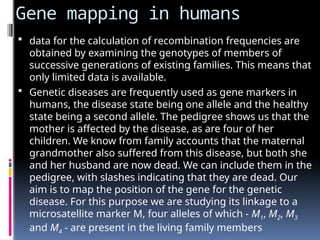 Gene mapping in humans
 data for the calculation of recombination frequencies are
obtained by examining the genotypes of members of
successive generations of existing families. This means that
only limited data is available.
 Genetic diseases are frequently used as gene markers in
humans, the disease state being one allele and the healthy
state being a second allele. The pedigree shows us that the
mother is affected by the disease, as are four of her
children. We know from family accounts that the maternal
grandmother also suffered from this disease, but both she
and her husband are now dead. We can include them in the
pedigree, with slashes indicating that they are dead. Our
aim is to map the position of the gene for the genetic
disease. For this purpose we are studying its linkage to a
microsatellite marker M, four alleles of which - M1, M2, M3
and M4 - are present in the living family members
 