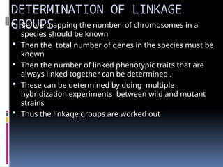 DETERMINATION OF LINKAGE
GROUPS
 Before mapping the number of chromosomes in a
species should be known
 Then the total number of genes in the species must be
known
 Then the number of linked phenotypic traits that are
always linked together can be determined .
 These can be determined by doing multiple
hybridization experiments between wild and mutant
strains
 Thus the linkage groups are worked out
 