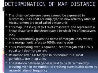 DETERMINATION OF MAP DISTANCE
 The distance between genes cannot be expressed in
customary units that are employed so new arbitrary units of
measurement are used called a map unit
 This map unit is equal to 1 % of crossovers and represents a
linear distance in the chromosome in which 1% of crossovers
occur
 This is customarily given the name of morgan units where
one morgan unit refers to 100%crossing over
 Thus 1%crossing over is equal to 1 centimorgan and 10% is
equal to 1 decimorgan etc
 Its named after T.H.Morgan in his honour but most
geneticists use map units
 The distance between genes is said to be determined by
crossing over so the number of crossing overs is also taken as
recombinational frequency
 