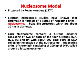CHROMOSOME MODELS SMG | PPTX