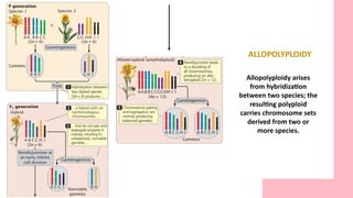CHROMOSOME MUTATION: CHROMOSOME REARRANGEMENT, ANEUPLOIDY AND ...