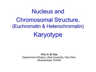 Nucleus and
Chromosomal Structure,
(Euchromatin & Heterochromatin)
Karyotype
Prof. A. B. Das
Department of Botany, Utkal University, Vani Vihar,
Bhubaneswar 751004
 