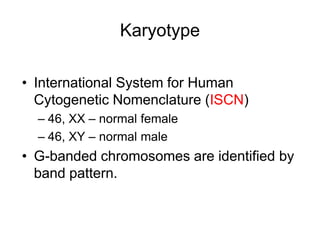 Chromosome & nuclear structure.pdf