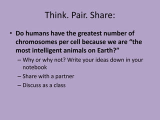 Think. Pair. Share:
• Do humans have the greatest number of
chromosomes per cell because we are “the
most intelligent animals on Earth?”
– Why or why not? Write your ideas down in your
notebook
– Share with a partner
– Discuss as a class
 
