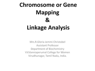 Chromosome or Gene
Mapping
&
Linkage Analysis
Mrs.R.Gloria Jemmi Christobel
Assistant Professor
Department of Biochemistry
V.V.Vanniaperumal College for Women
Virudhunagar, Tamil Nadu, India.
 