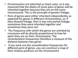 Chromosome or gene mapping &Linkage analysis | PPTX