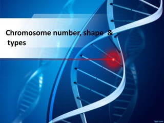 Chromosome number, shape &
types
 