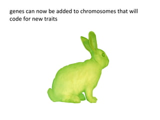 genes can now be added to chromosomes that will code for new traits 