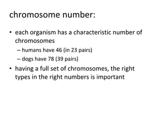 chromosome number: <ul><li>each organism has a characteristic number of chromosomes </li></ul><ul><ul><li>humans have 46 (...