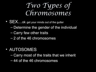 Two Types of
             Chromosomes
• SEX…ok get your minds out of the gutter
   – Determine the gender of the individual
   – Carry few other traits
   – 2 of the 46 chromosomes


• AUTOSOMES
   – Carry most of the traits that we inherit
   – 44 of the 46 chromosomes
 