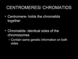 CENTROMERES/ CHROMATIDS
• Centromere- holds the chromatids
  together

• Chromatids- identical sides of the
  chromosomes
  – Contain same genetic information on both
    sides
 