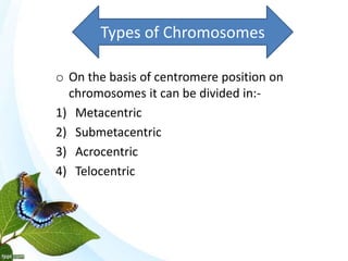 Chromosomes | PPTX