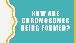 HOW ARE
CHROMOSOMES
BEING FORMED?
 