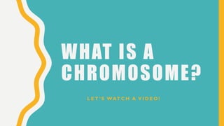 WHAT IS A
CHROMOSOME?
L E T ’ S WAT C H A V I D E O !
 