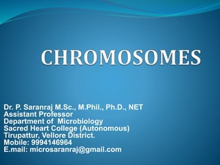 Dr. P. Saranraj M.Sc., M.Phil., Ph.D., NET
Assistant Professor
Department of Microbiology
Sacred Heart College (Autonomous)
Tirupattur, Vellore District.
Mobile: 9994146964
E.mail: microsaranraj@gmail.com
 