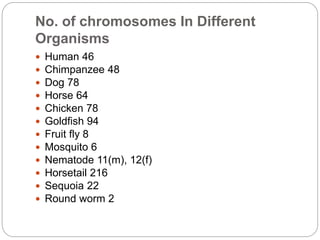 Chromosomes Size
 In contrast to other cell organelles, the size of
chromosomes shows a remarkable variation
depending up...