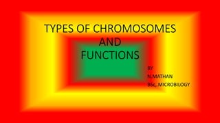 TYPES OF CHROMOSOMES
AND
FUNCTIONS
BY
N.MATHAN
BSc,.MICROBILOGY
 