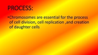 PROCESS:
•Chromosomes are essential for the process
of cell division, cell replication ,and creation
of daughter cells
 
