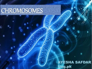CHROMOSOMES
AYESHA SAFDAR
Uog.pk
 
