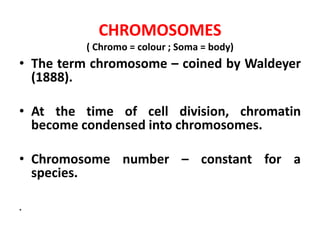 CHROMOSOMES
( Chromo = colour ; Soma = body)
• The term chromosome – coined by Waldeyer
(1888).
• At the time of cell division, chromatin
become condensed into chromosomes.
• Chromosome number – constant for a
species.
.
 
