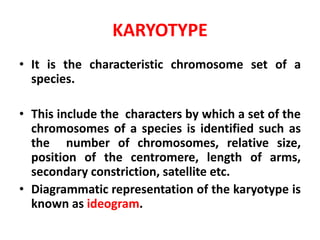 KARYOTYPE
• It is the characteristic chromosome set of a
species.
• This include the characters by which a set of the
chromosomes of a species is identified such as
the number of chromosomes, relative size,
position of the centromere, length of arms,
secondary constriction, satellite etc.
• Diagrammatic representation of the karyotype is
known as ideogram.
 
