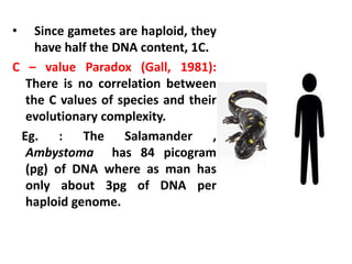 • Since gametes are haploid, they
have half the DNA content, 1C.
C – value Paradox (Gall, 1981):
There is no correlation between
the C values of species and their
evolutionary complexity.
Eg. : The Salamander ,
Ambystoma has 84 picogram
(pg) of DNA where as man has
only about 3pg of DNA per
haploid genome.
 