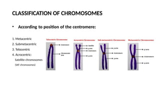 chromosome is a genetic material of cell in DNA and RNA | PPTX