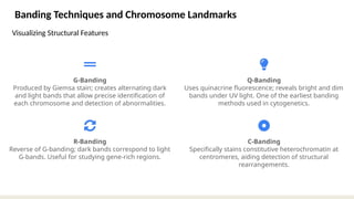 chromosome is a genetic material of cell in DNA and RNA | PPTX