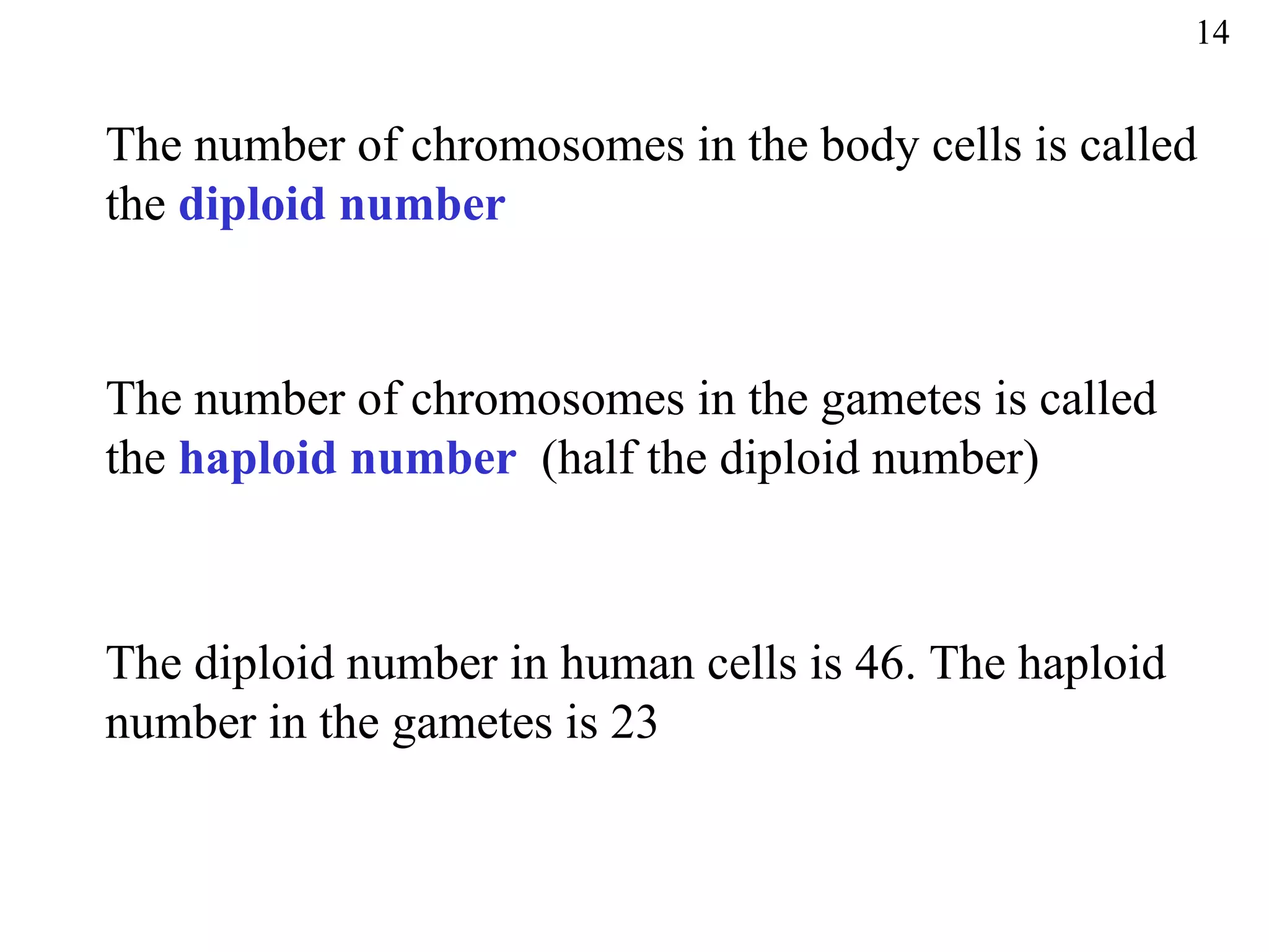 14


The number of chromosomes in the body cells is called
the diploid number


The number of chromosomes in the gametes is called
the haploid number (half the diploid number)



The diploid number in human cells is 46. The haploid
number in the gametes is 23
 