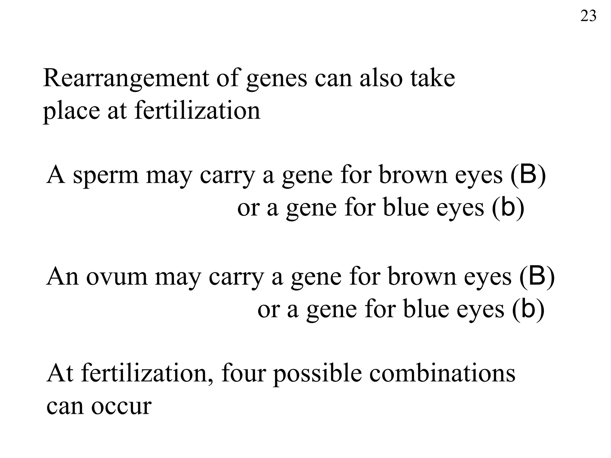 23


Rearrangement of genes can also take
place at fertilization

A sperm may carry a gene for brown eyes (B)
               or a gene for blue eyes (b)

An ovum may carry a gene for brown eyes (B)
                or a gene for blue eyes (b)

At fertilization, four possible combinations
can occur
 