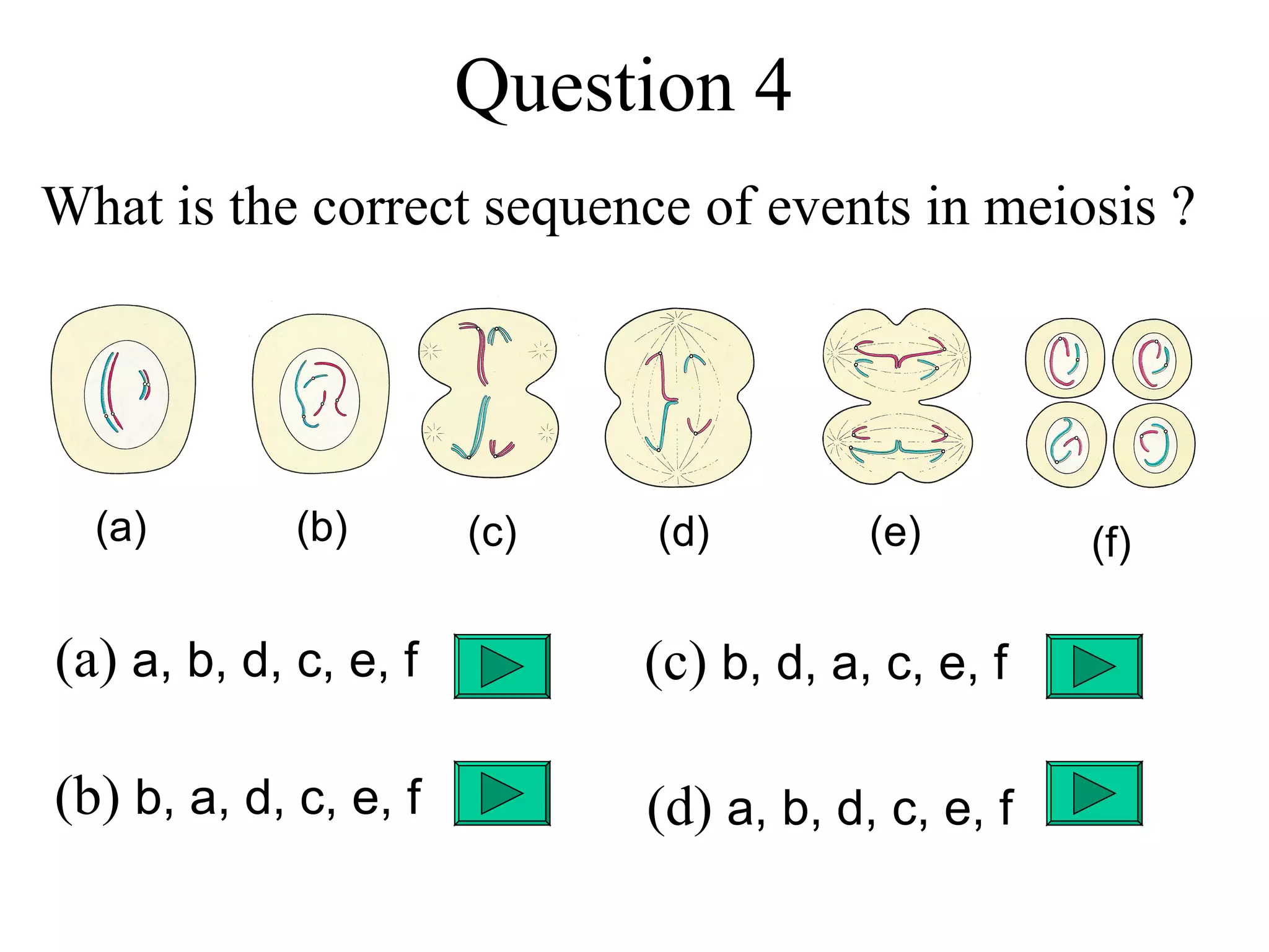 Question 4
What is the correct sequence of events in meiosis ?




  (a)        (b)       (c)   (d)         (e)        (f)

(a) a, b, d, c, e, f         (c) b, d, a, c, e, f

(b) b, a, d, c, e, f         (d) a, b, d, c, e, f
 