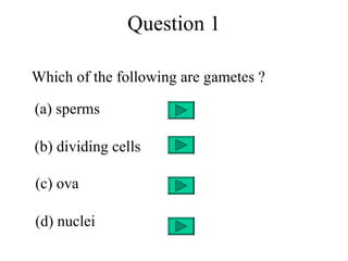 Question 1

Which of the following are gametes ?

(a) sperms

(b) dividing cells

(c) ova

(d) nuclei
 