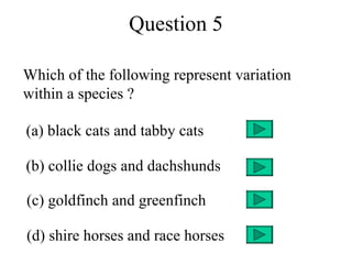 Question 5

Which of the following represent variation
within a species ?

(a) black cats and tabby cats

(b) collie dogs and dachshunds

(c) goldfinch and greenfinch

(d) shire horses and race horses
 