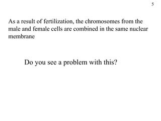 5


As a result of fertilization, the chromosomes from the
male and female cells are combined in the same nuclear
membrane



      Do you see a problem with this?
 