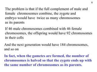 6

The problem is that if the full complement of male and
female chromosomes combine, the zygote and
embryo would have twice as many chromosomes
as its parents
If 46 male chromosomes combined with 46 female
chromosomes, the offspring would have 92 chromosomes
in their cells
And the next generation would have 184 chromosomes,
and so on
In fact, when the gametes are formed, the number of
chromosomes is halved so that the zygote ends up with
the same number of chromosomes as its parents.
 